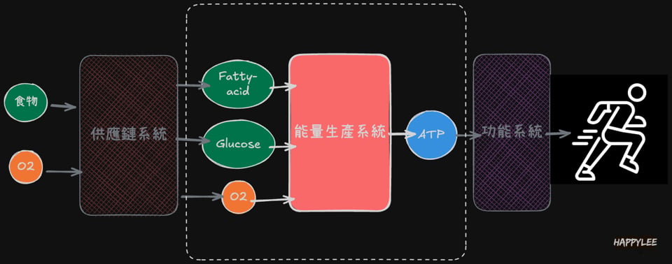 三大能量系統